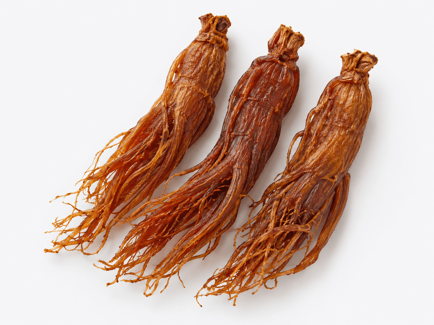 Ginseng rojo